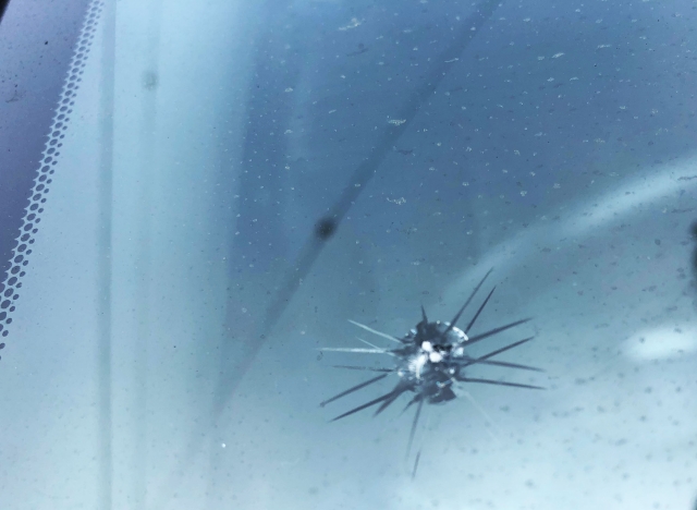 https://sapporo-glass-repair.com/glanz-magazine